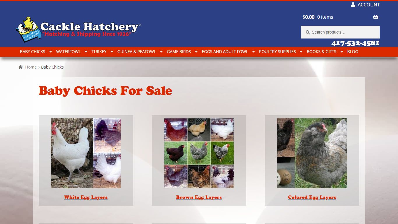 Baby Chicks For Sale | Egg Laying & Meat Chickens | Cackle Hatchery